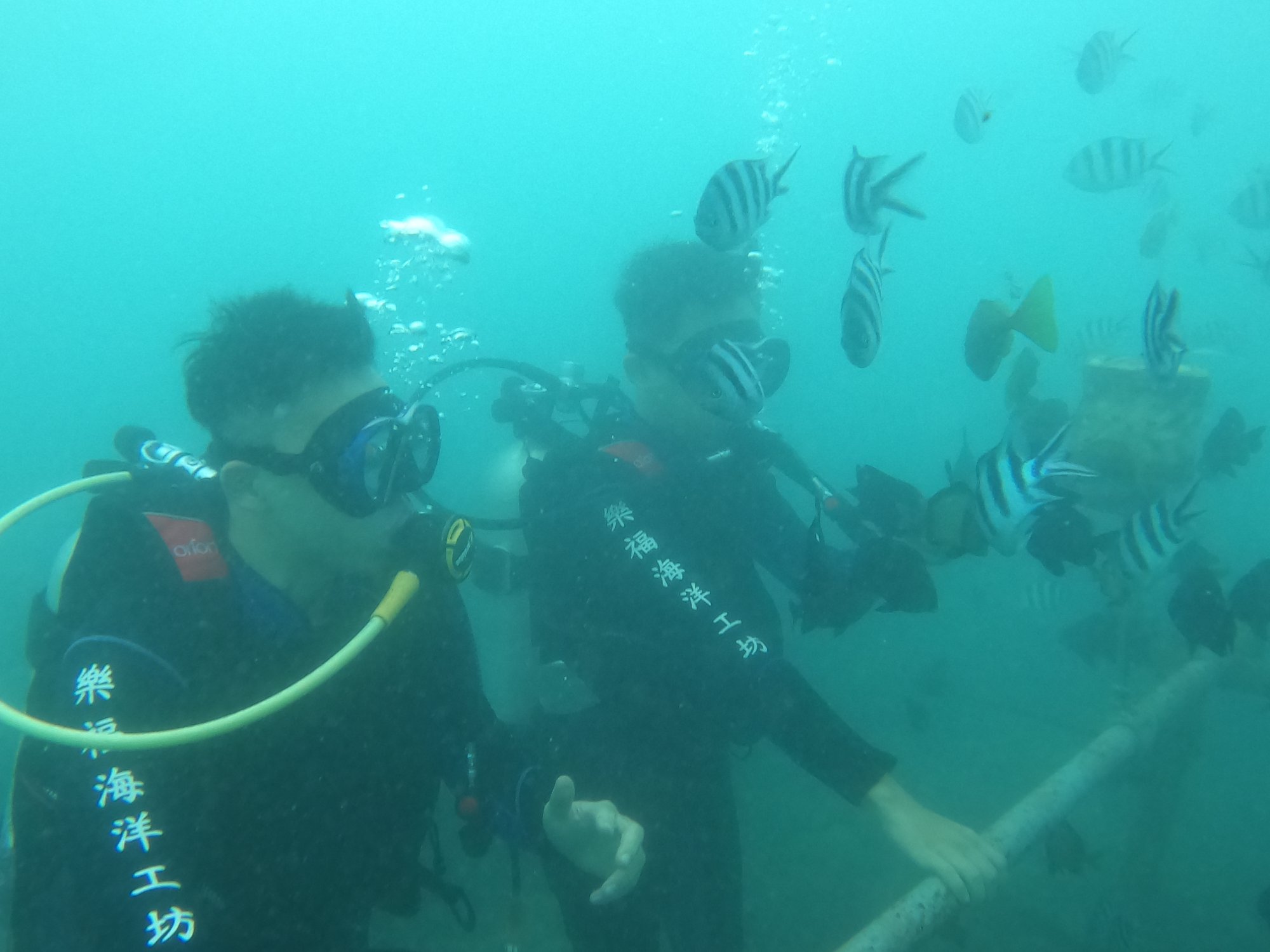 澎湖旅遊-體驗潛水(無證照)